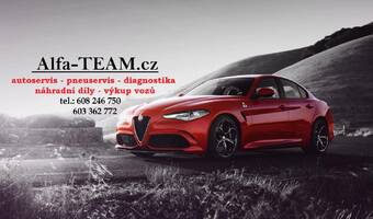 Alfa-TEAM