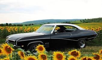 Buick Skylark  1969